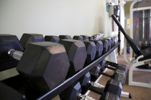 Gym Dumbells