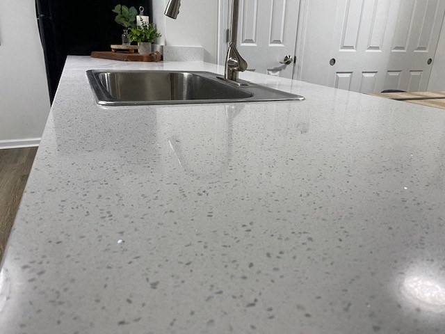 A kitchen counter with a sink and a plant on it.