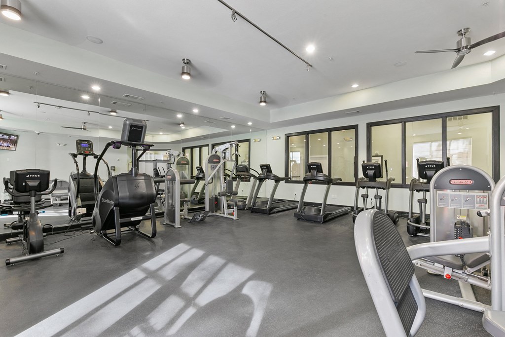 the gym is equipped with treadmills and other exercise equipment