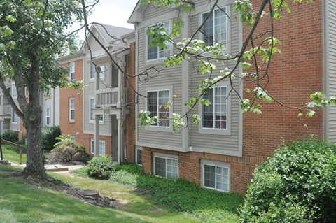 A tree is in front of a building with a red brick wall.
