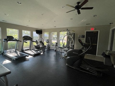 A gym with treadmills, elliptical machines, and a fan.
