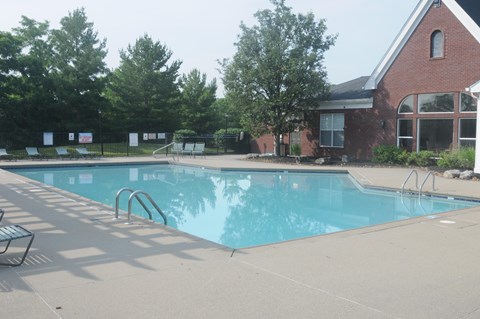 A swimming pool with a ladder and a bench.