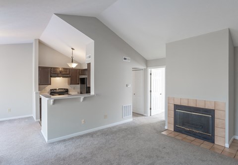A living room with a fireplace and a kitchen area in the background.
