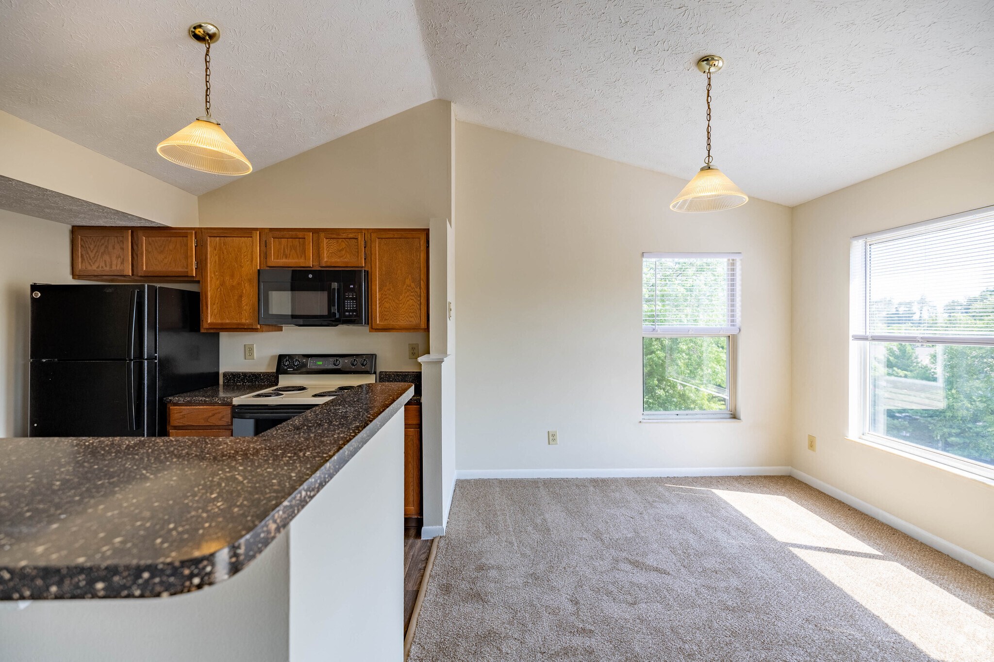 A kitchen with a black refrigerator and a microwave above the counter.