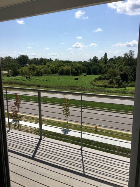 A view from a balcony looking out at a road and greenery.