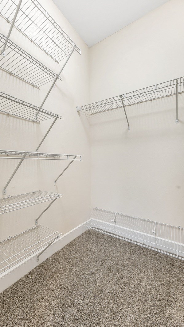 an empty closet with empty shelves in a room with carpet and white walls at Vanguard Crossing, St. Louis, MO 63124