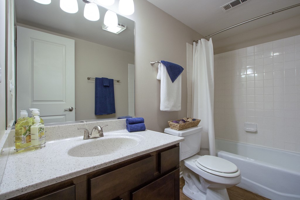 Large Bathroom with Bathtub at The Greenway at Carol Stream, Illinois, 60188