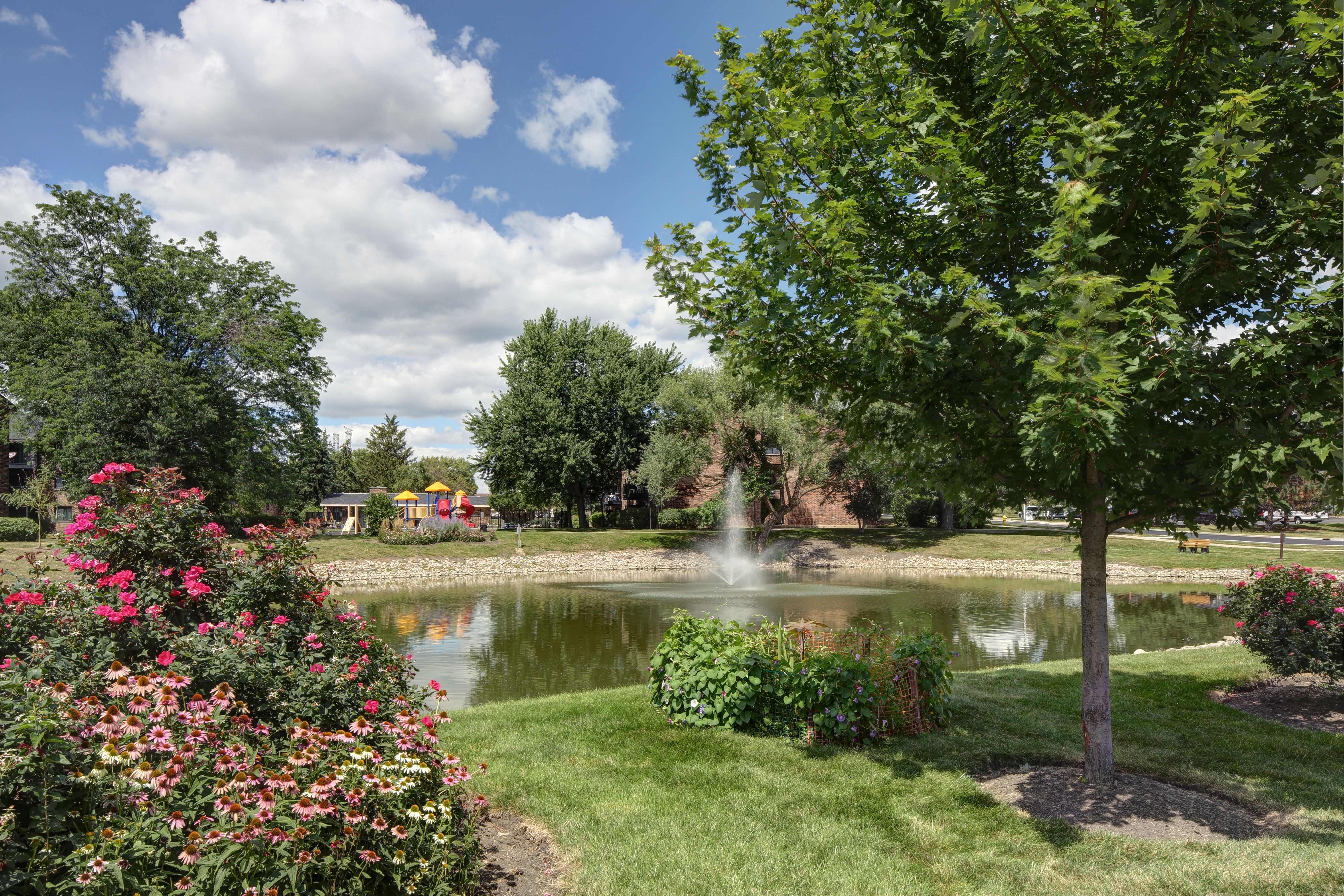 Beautiful lake view.