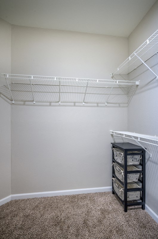 Large Closet at Parkside at South Tryon, North Carolina