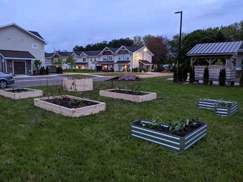 A garden with raised beds in the foreground and houses in the background.