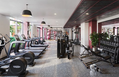 A gym with a variety of equipment including treadmills, weights, and exercise machines.