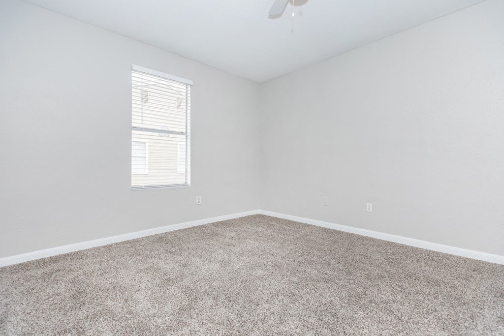 Carpet Bedroom