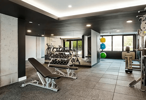 A gym with a bench, weights, and exercise balls.