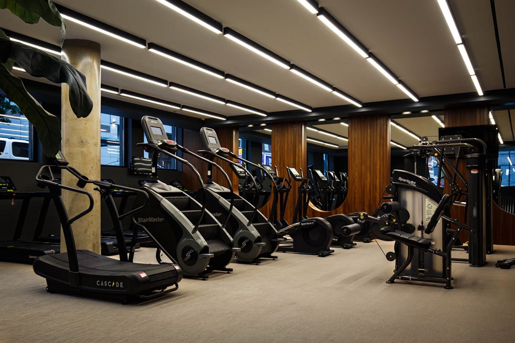 a row of exercise machines in a gym