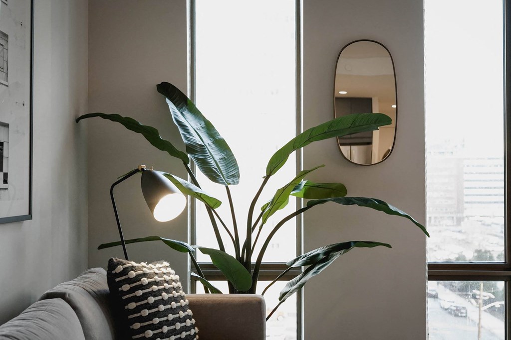 a plant in a living room next to a window at The Lively, New Jersey