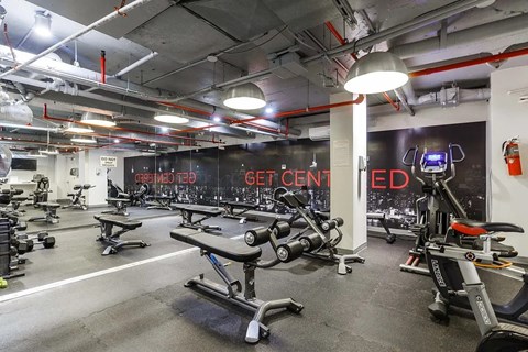 A gym with a variety of equipment including treadmills, stationary bikes, and weight machines.