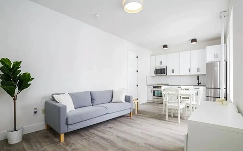 A grey couch sits in a living room with a potted plant to its left.