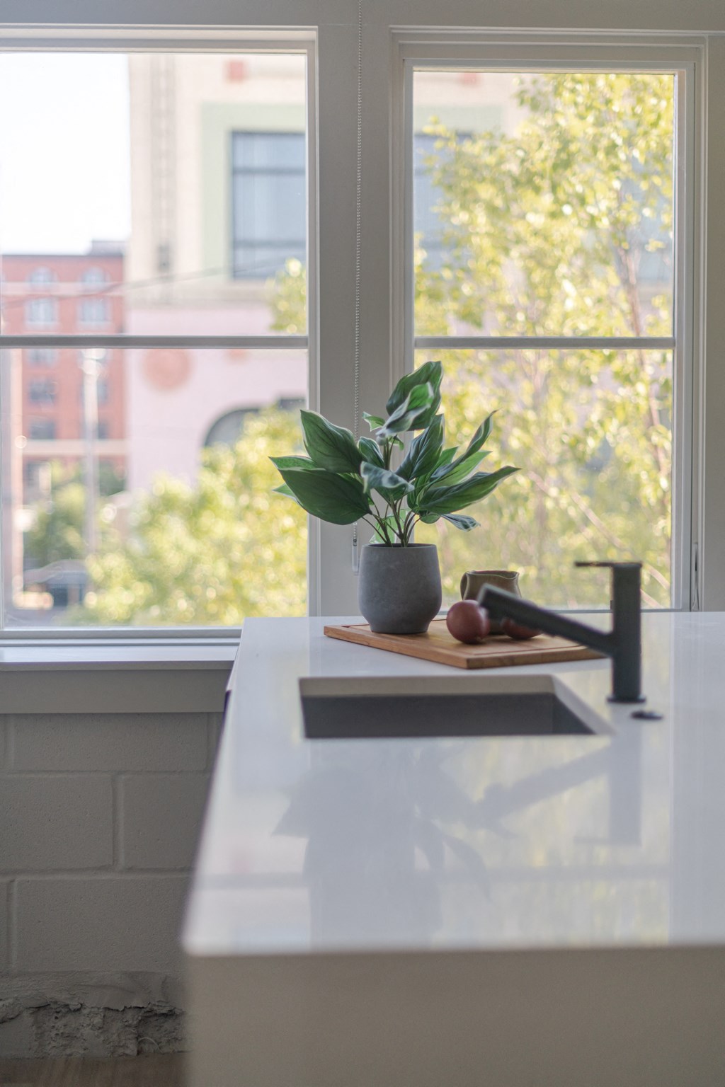 a kitchen counter with a potted plant and fruit on it at The 22 Apartments, St. Louis, MO 