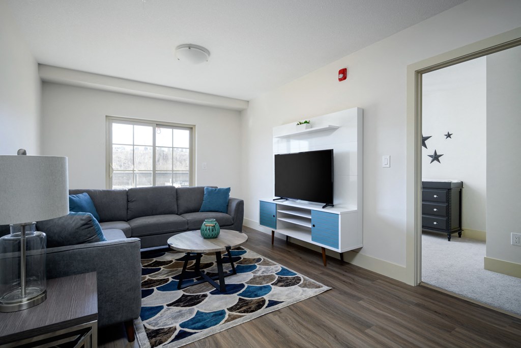 a living room with a couch and a coffee table and a television