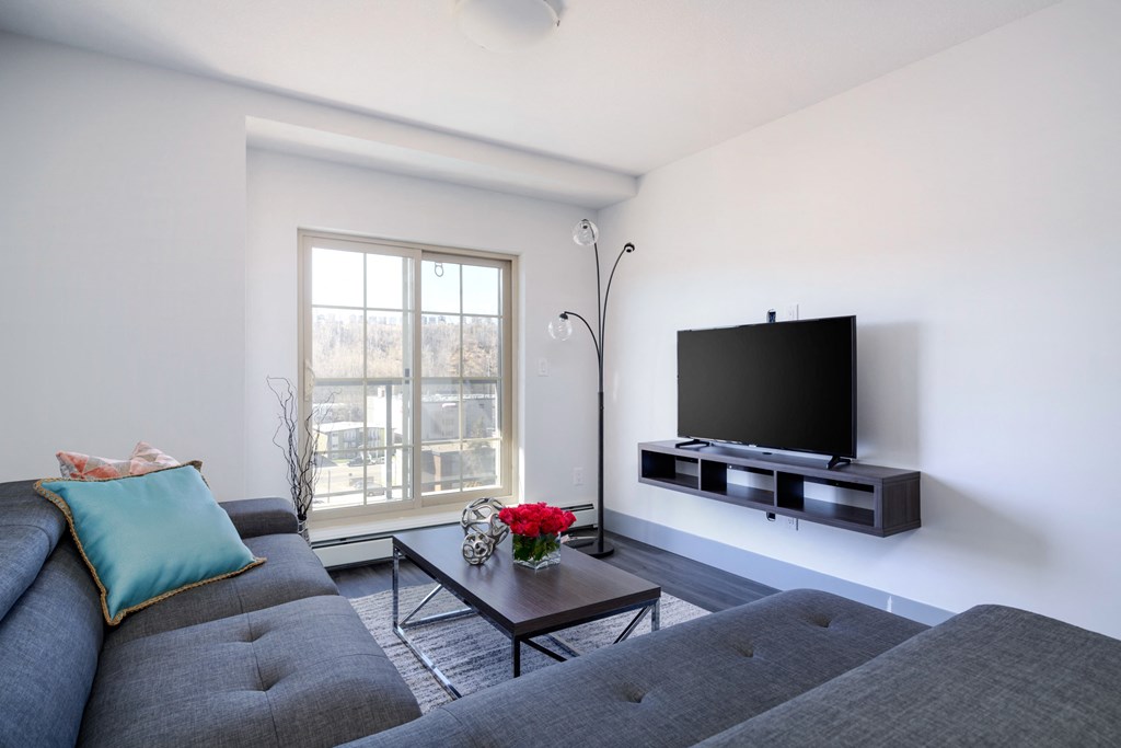 a living room with a gray couch and a television