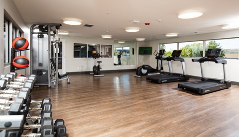 a gym with cardio machines and weights on a wooden floor