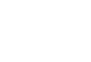 The logo for The Remi is displayed on a green background.