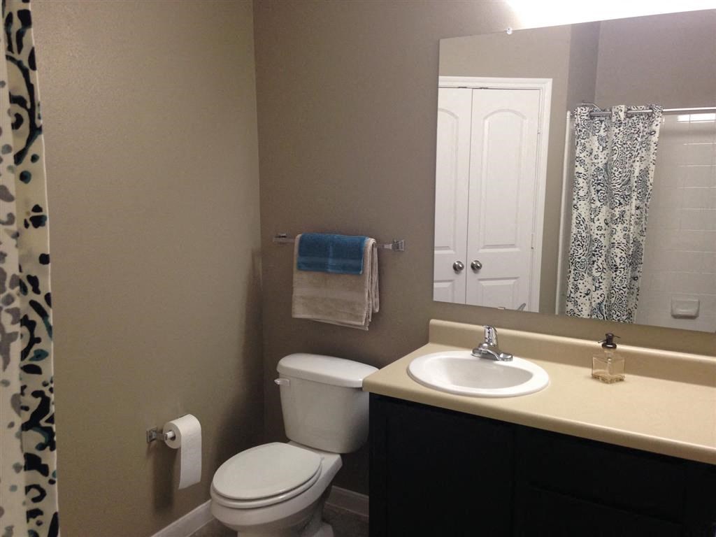 a bathroom with a toilet and a sink and a mirror