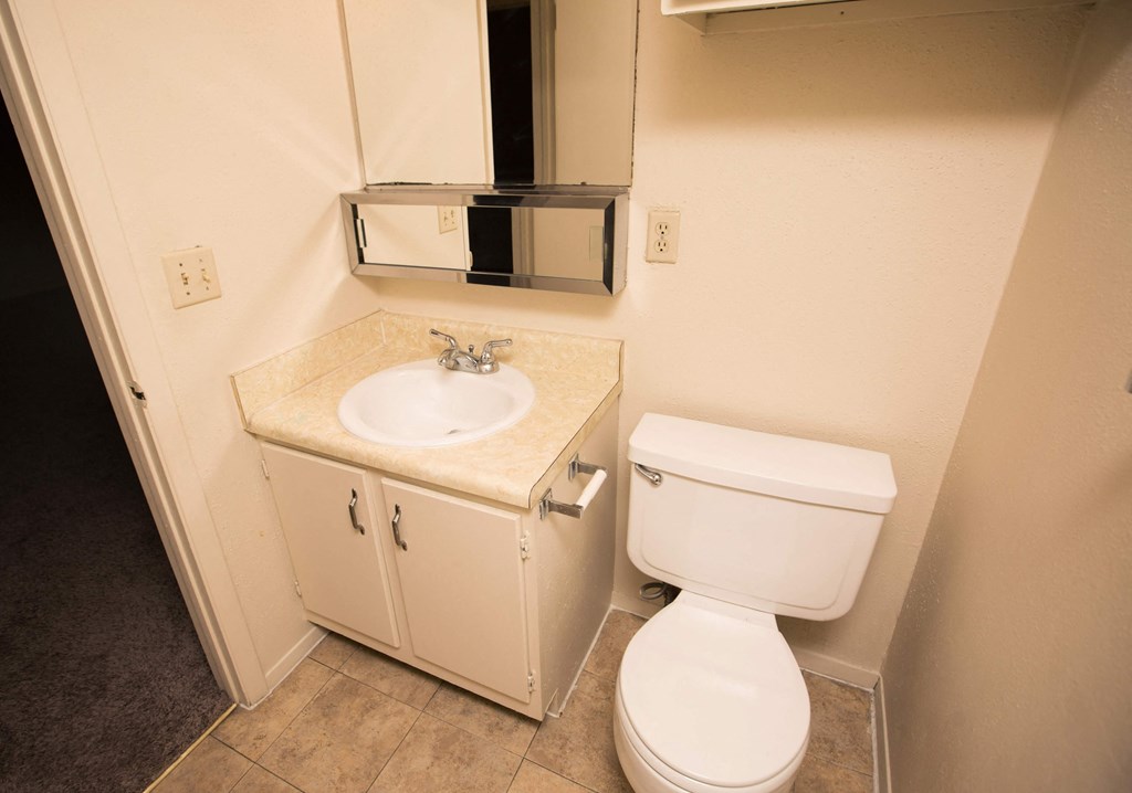 a bathroom with a toilet and a sink and a mirror