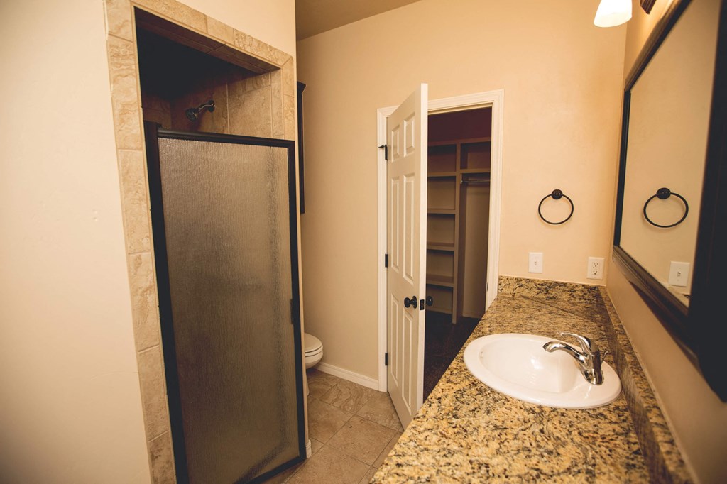 a bathroom with a sink and a shower
