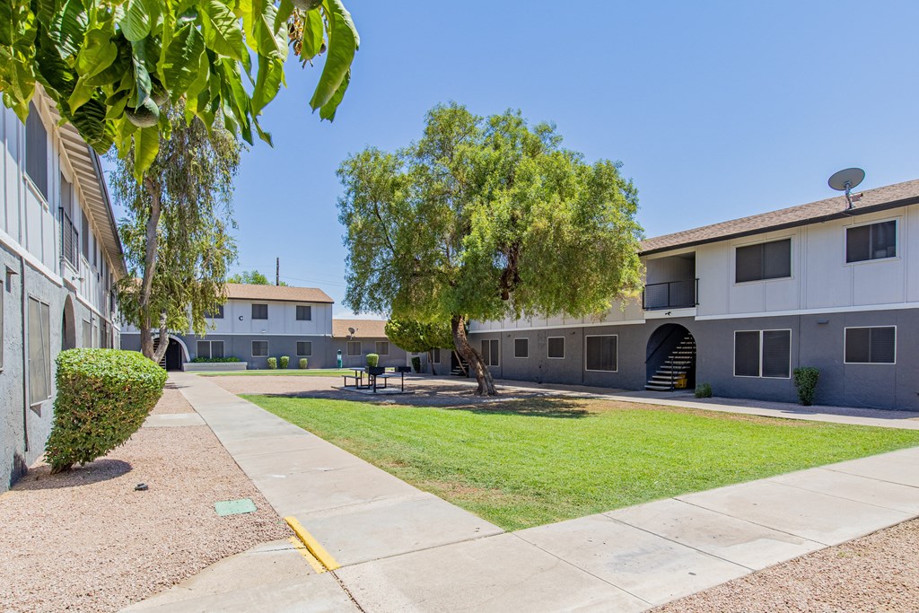 a courtyard between two apartment buildings with a tree in the middle
