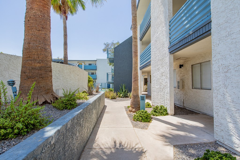 a walkway with palm trees in front of a building
