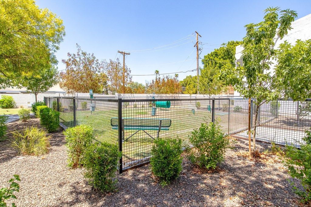 a fenced in dog park with a bench and trees