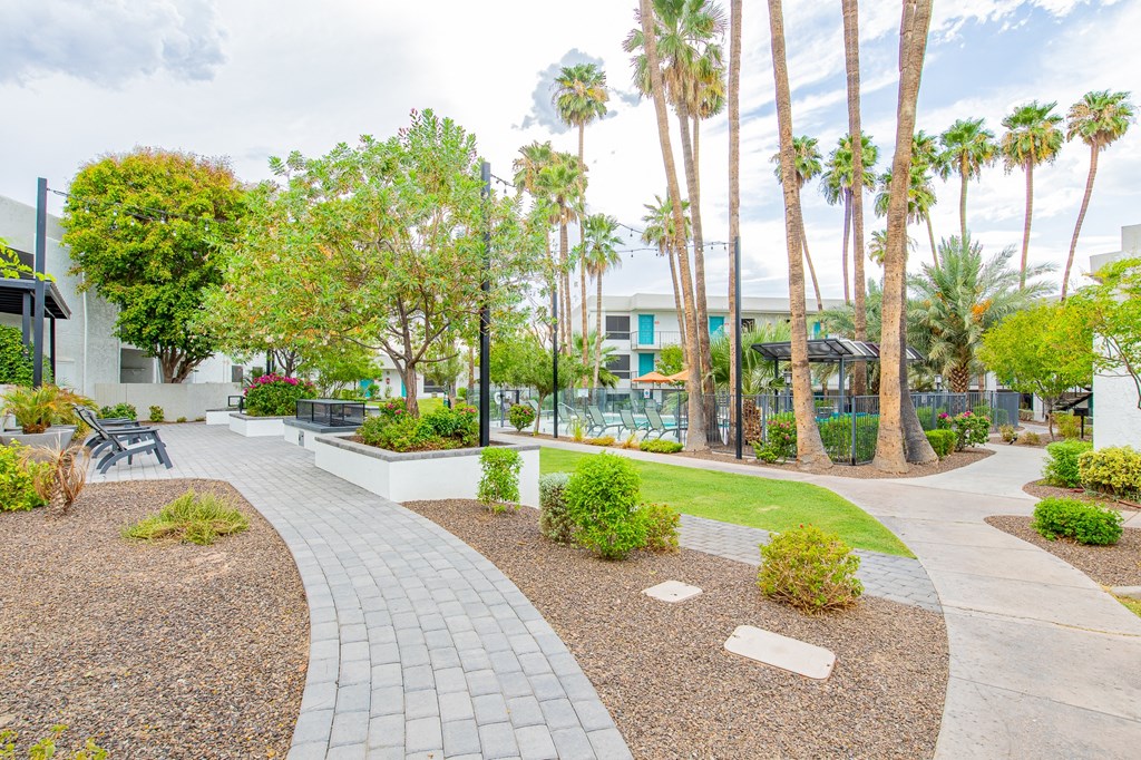 a courtyard with palm trees and a building in the background