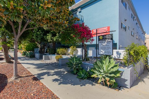 A tree with red flowers is in front of a building with a sign that says "NO TEARING".