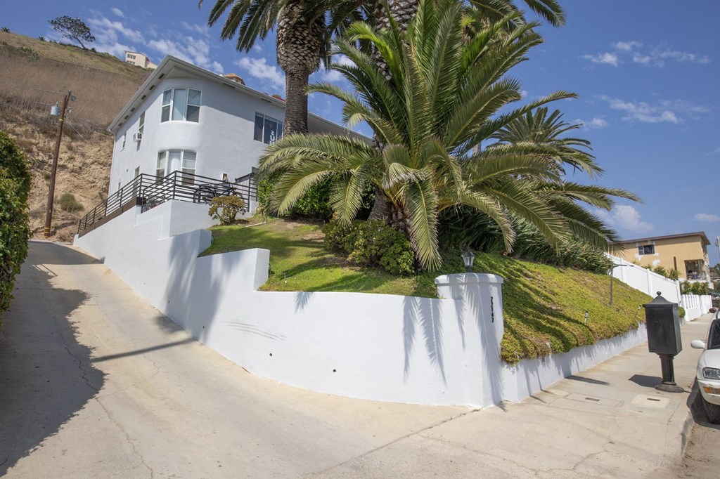 a palm tree sits in front of a white house on a hill
