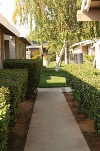 23925 Eucalyptus Ave Studio-2 Beds Apartment for Rent - Photo Gallery 3