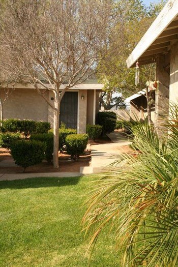 23925 Eucalyptus Ave Studio-2 Beds Apartment for Rent - Photo Gallery 4