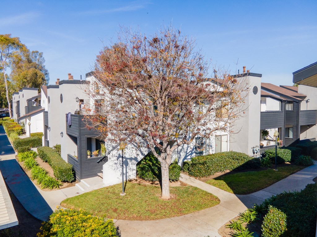 a group of white houses with a tree in the middle
