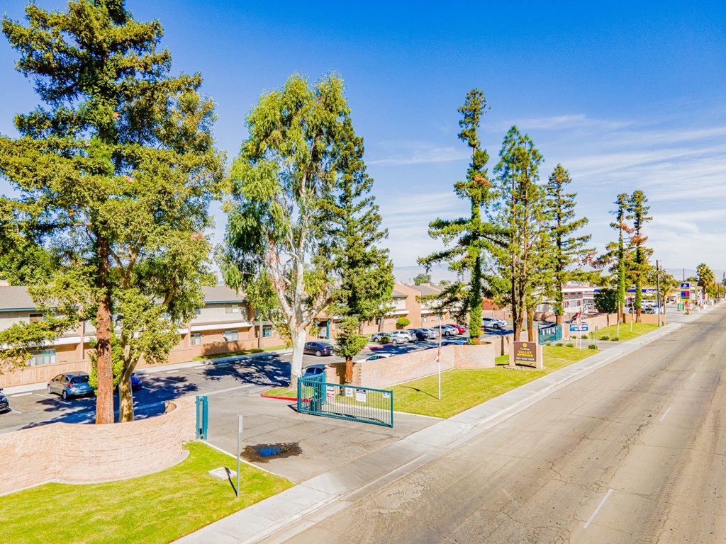 a street view of a park with trees and a road