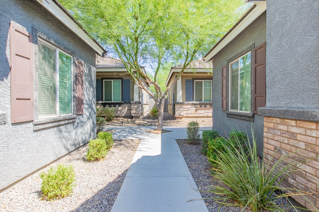 a walkway between two houses with trees and plants