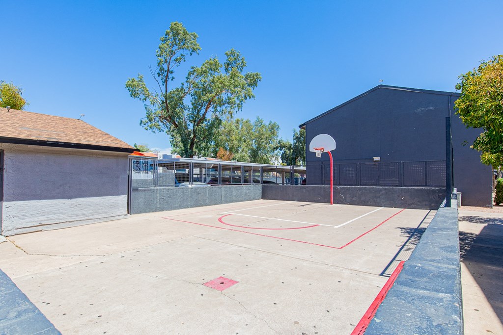 A basketball court with a red line on the ground and a basketball hoop on the right side.