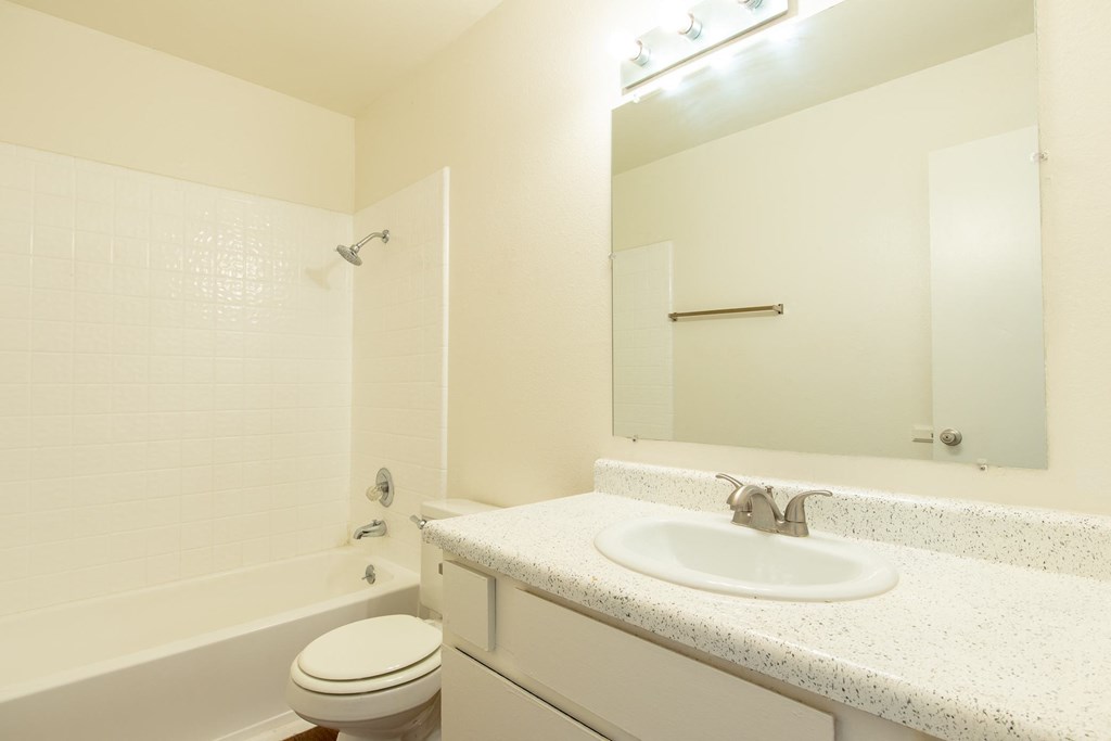 a bathroom with a sink and a tub and a mirror