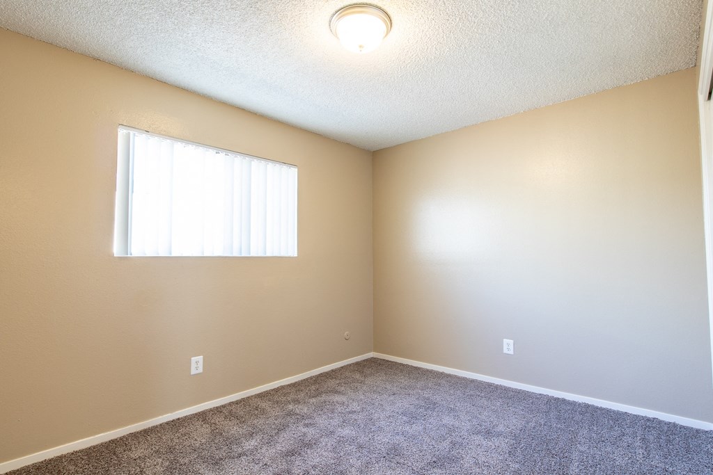 an empty room with carpet and a window