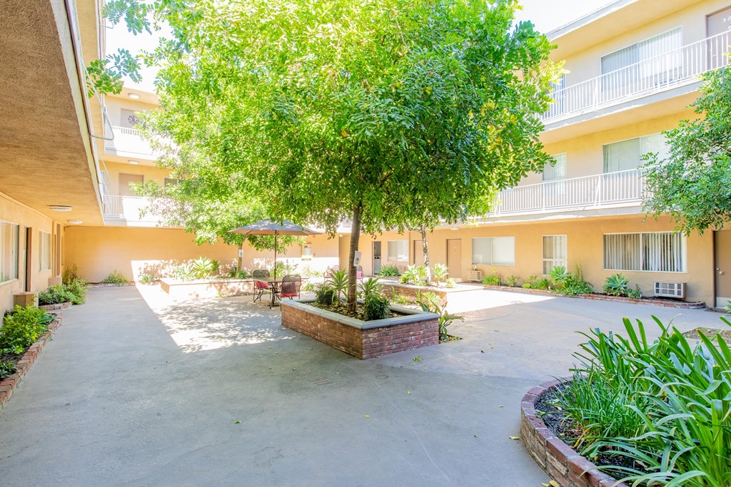 a courtyard with a tree in the middle of an apartment building