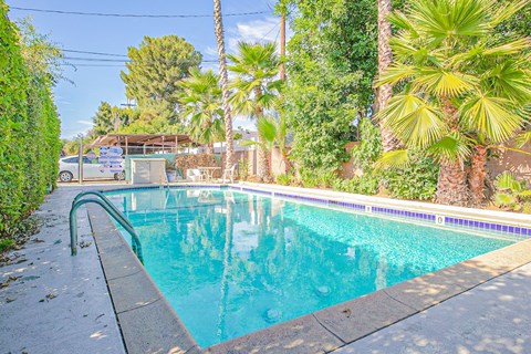 A pool surrounded by greenery and palm trees.