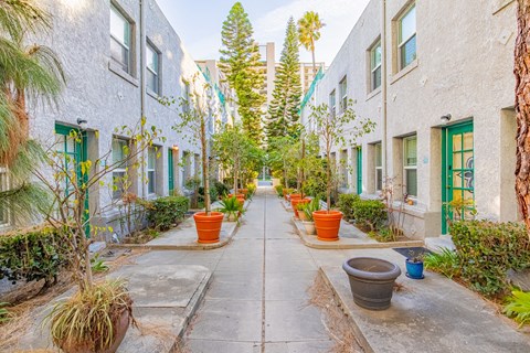 A row of potted plants line a walkway between two buildings.