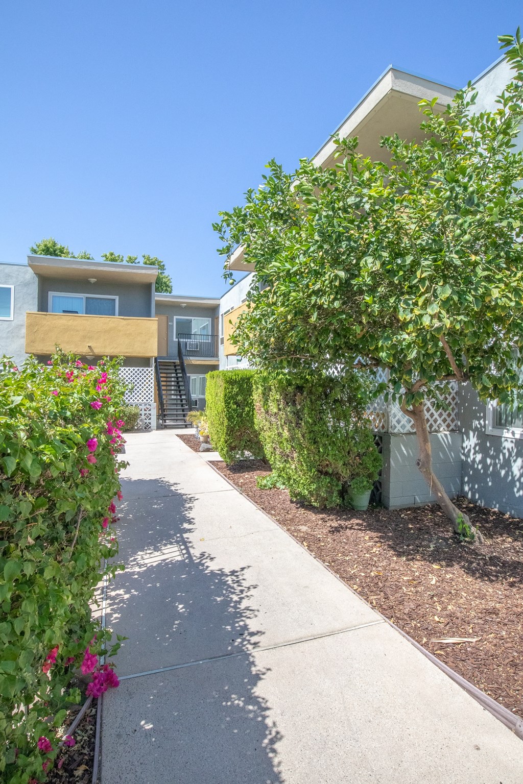 a sidewalk in front of a house with trees and bushes