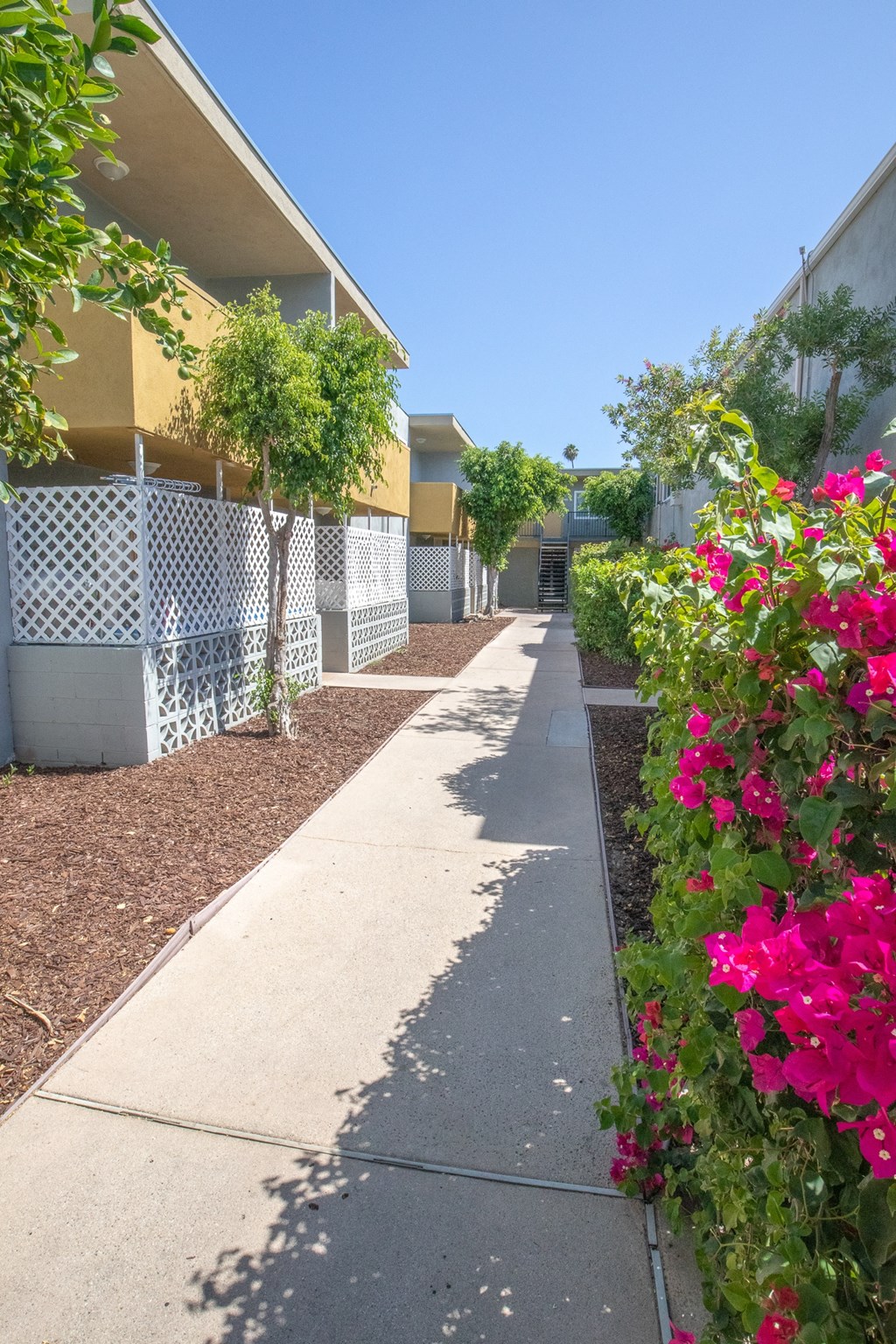 a sidewalk in front of a building with flowers on the side