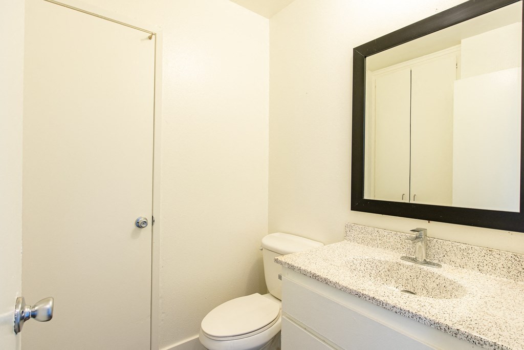 a bathroom with a toilet and a sink and a mirror