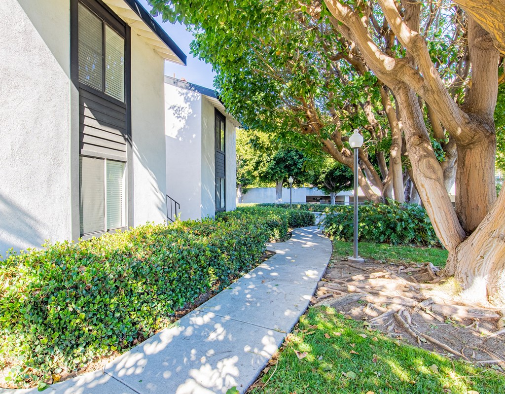 a sidewalk in front of a building with trees
